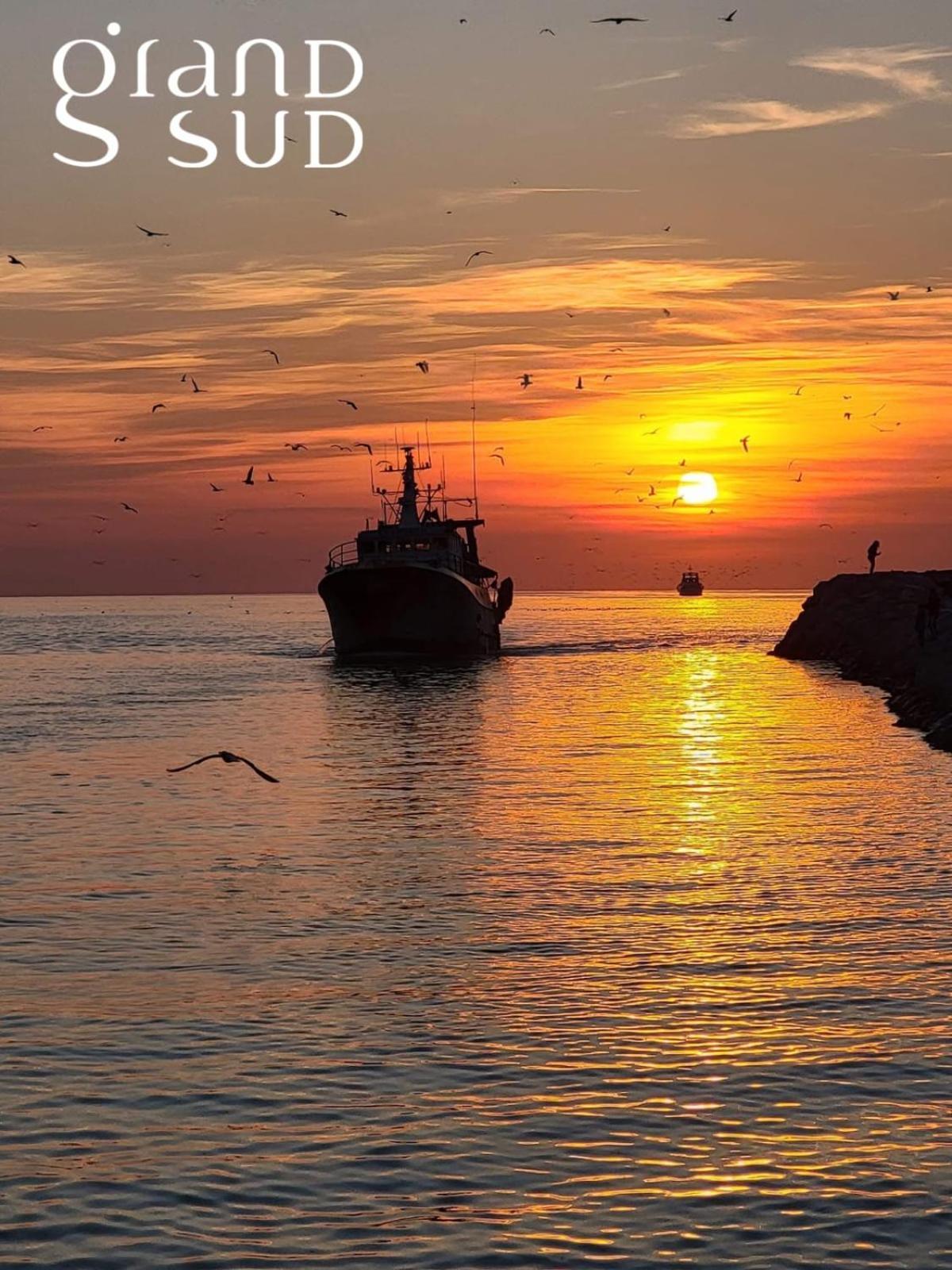L'emeraude Au Soleil Avec Coin Nuit Dans Sur La * Le Grau-du-Roi